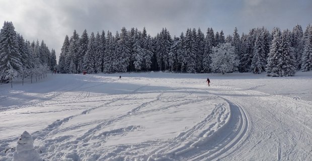 Testování pro obchodní partnery NORDIC